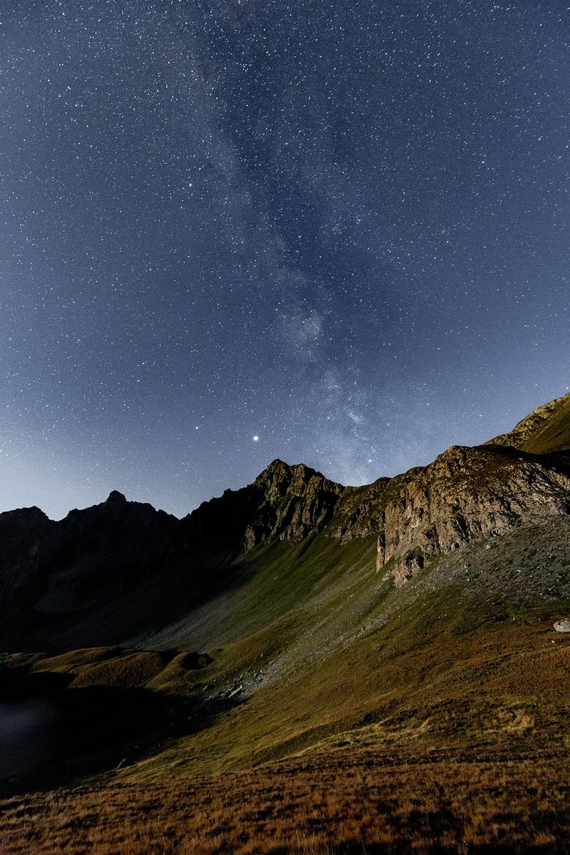 Starry Night Backdrop